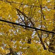 ヒメ日記 2025/12/02 13:47 投稿 内村 由美 30代40代50代と遊ぶなら博多人妻専科24時