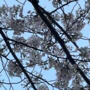 ヒメ日記 2026/04/07 13:18 投稿 内村 由美 30代40代50代と遊ぶなら博多人妻専科24時