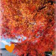 すみれ 本日の合言葉 梅田アバンチュール