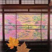 ヒメ日記 2025/11/27 16:12 投稿 すみれ 梅田アバンチュール