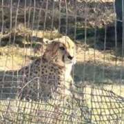 ヒメ日記 2025/01/08 22:15 投稿 知念(ちねん) 相模原人妻城