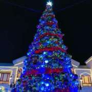 ヒメ日記 2024/12/24 09:03 投稿 ララ ヴィーナス(金津園)