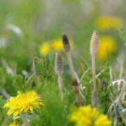 ヒメ日記 2025/03/25 07:36 投稿 ララ ヴィーナス(金津園)