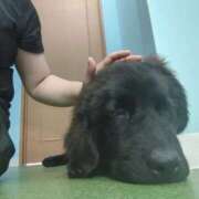 ヒメ日記 2025/07/26 07:57 投稿 ララ ヴィーナス(金津園)