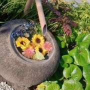 ヒメ日記 2025/08/17 09:42 投稿 ララ ヴィーナス(金津園)