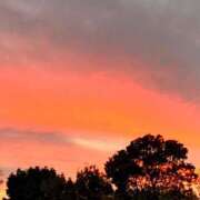 ヒメ日記 2025/09/14 21:00 投稿 ララ ヴィーナス(金津園)