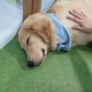 ヒメ日記 2025/09/20 10:00 投稿 ララ ヴィーナス(金津園)