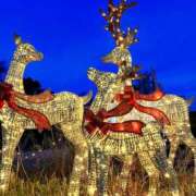 ヒメ日記 2025/12/01 09:48 投稿 ララ ヴィーナス(金津園)