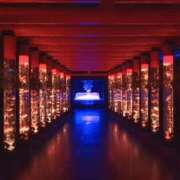 ヒメ日記 2025/12/19 12:51 投稿 ララ ヴィーナス(金津園)