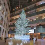 ララ 🤍🎄𝑀𝑒𝑟𝑟𝑦𝐶ℎ𝑟𝑖𝑠𝑡𝑚𝑎𝑠🎄🤍Eve ヴィーナス(金津園)