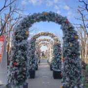 ヒメ日記 2025/12/25 09:42 投稿 ララ ヴィーナス(金津園)