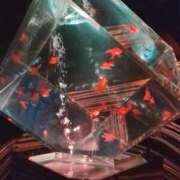 ヒメ日記 2026/01/04 08:33 投稿 ララ ヴィーナス(金津園)