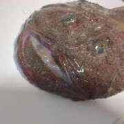 ヒメ日記 2026/01/20 21:36 投稿 ララ ヴィーナス(金津園)