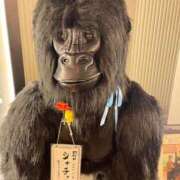 ヒメ日記 2026/03/30 08:51 投稿 ララ ヴィーナス(金津園)