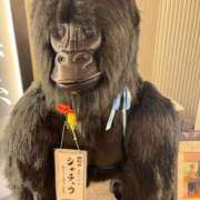 ヒメ日記 2026/06/07 07:48 投稿 ララ ヴィーナス(金津園)