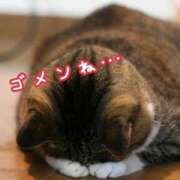 ヒメ日記 2024/12/12 08:25 投稿 アオイ ソープランドMAX‐マックス- 浅草店