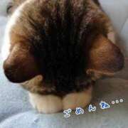 ヒメ日記 2025/09/25 11:55 投稿 アオイ ソープランドMAX‐マックス- 浅草店