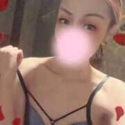 ヒメ日記 2024/12/12 17:10 投稿 あざみ サンクチュアリ(上野)