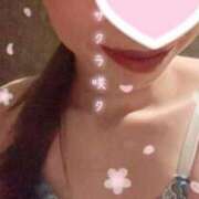 ヒメ日記 2025/03/07 17:18 投稿 あざみ サンクチュアリ(上野)