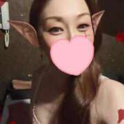 ヒメ日記 2025/11/13 17:17 投稿 あざみ サンクチュアリ(上野)