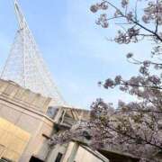 ヒメ日記 2025/07/01 00:02 投稿 佐伯 めい アリス女学院 日本橋校