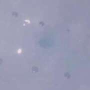 ヒメ日記 2025/10/30 22:40 投稿 佐伯 めい アリス女学院 日本橋校