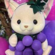 ヒメ日記 2025/11/28 17:26 投稿 佐伯 めい アリス女学院 日本橋校