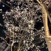 ヒメ日記 2026/04/03 15:13 投稿 遠藤-えんどう MSC 妄想紳士倶楽部 鶯谷店