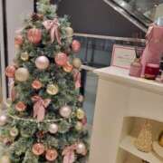 ヒメ日記 2025/12/17 13:37 投稿 けい 発情団地妻