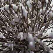 ヒメ日記 2026/02/10 09:37 投稿 けい 発情団地妻