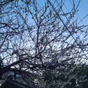 けい つぎは来週(火)(木)出勤 発情団地妻