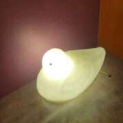 ヒメ日記 2026/03/06 16:31 投稿 けい 発情団地妻