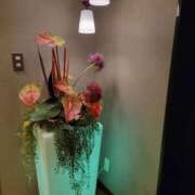 ヒメ日記 2026/03/07 09:46 投稿 けい 発情団地妻