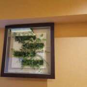 ヒメ日記 2026/03/09 18:27 投稿 けい 発情団地妻