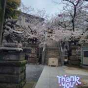 ヒメ日記 2026/03/31 15:17 投稿 けい 発情団地妻