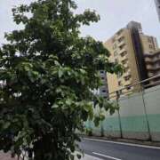 ヒメ日記 2026/06/20 16:31 投稿 けい 発情団地妻
