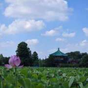 ヒメ日記 2025/08/08 23:31 投稿 志摩かおる ローテンブルク