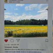 ヒメ日記 2025/08/22 00:27 投稿 志摩かおる ローテンブルク