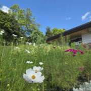 ヒメ日記 2025/09/30 00:19 投稿 志摩かおる ローテンブルク