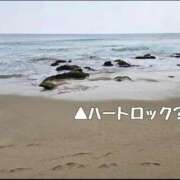 ヒメ日記 2026/03/17 17:36 投稿 志摩かおる ローテンブルク