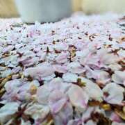 ヒメ日記 2026/04/02 21:45 投稿 志摩かおる ローテンブルク