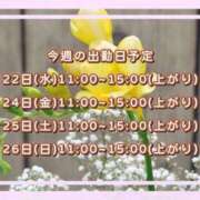 ヒメ日記 2025/01/22 08:49 投稿 ひびき 脱がされたい人妻 宇都宮店