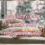 ヒメ日記 2025/02/01 09:01 投稿 ひびき 脱がされたい人妻 宇都宮店