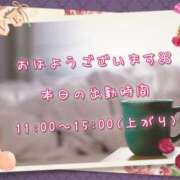 ヒメ日記 2025/02/10 08:08 投稿 ひびき 脱がされたい人妻 宇都宮店