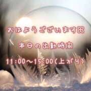ヒメ日記 2025/02/18 07:55 投稿 ひびき 脱がされたい人妻 宇都宮店