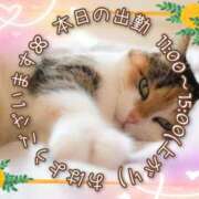 ヒメ日記 2025/02/22 08:07 投稿 ひびき 脱がされたい人妻 宇都宮店