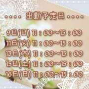 ヒメ日記 2025/03/07 15:31 投稿 ひびき 脱がされたい人妻 宇都宮店