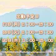 ヒメ日記 2025/03/17 07:56 投稿 ひびき 脱がされたい人妻 宇都宮店