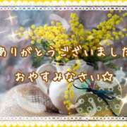 ヒメ日記 2025/04/01 00:02 投稿 ひびき 脱がされたい人妻 宇都宮店