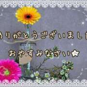 ヒメ日記 2025/04/18 02:35 投稿 ひびき 脱がされたい人妻 宇都宮店